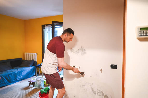 Best Mold Testing and Removal  in Glen Dale, WV